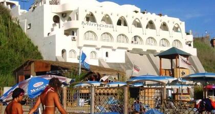 Two-bedroom apartment, terrace, ocean view, 1st floor (Mimose)