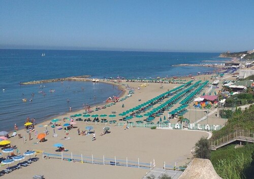 Two-room apartment, terrace, sea front, floor 1 (Mimosa)