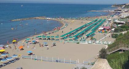 Two-room apartment, terrace, sea front, floor 1 (Mimosa)
