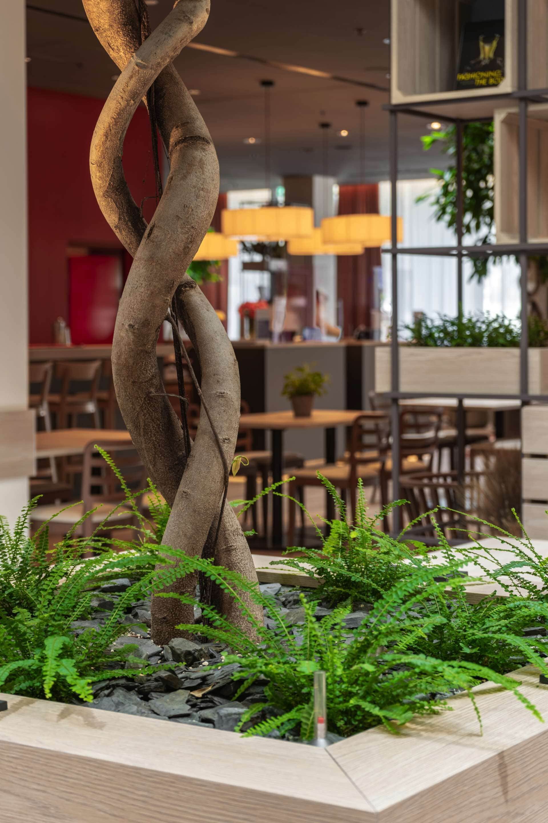 Un espace intérieur moderne, doté d’une sculpture centrale en bois, entourée de fougères et d’un jardinière.