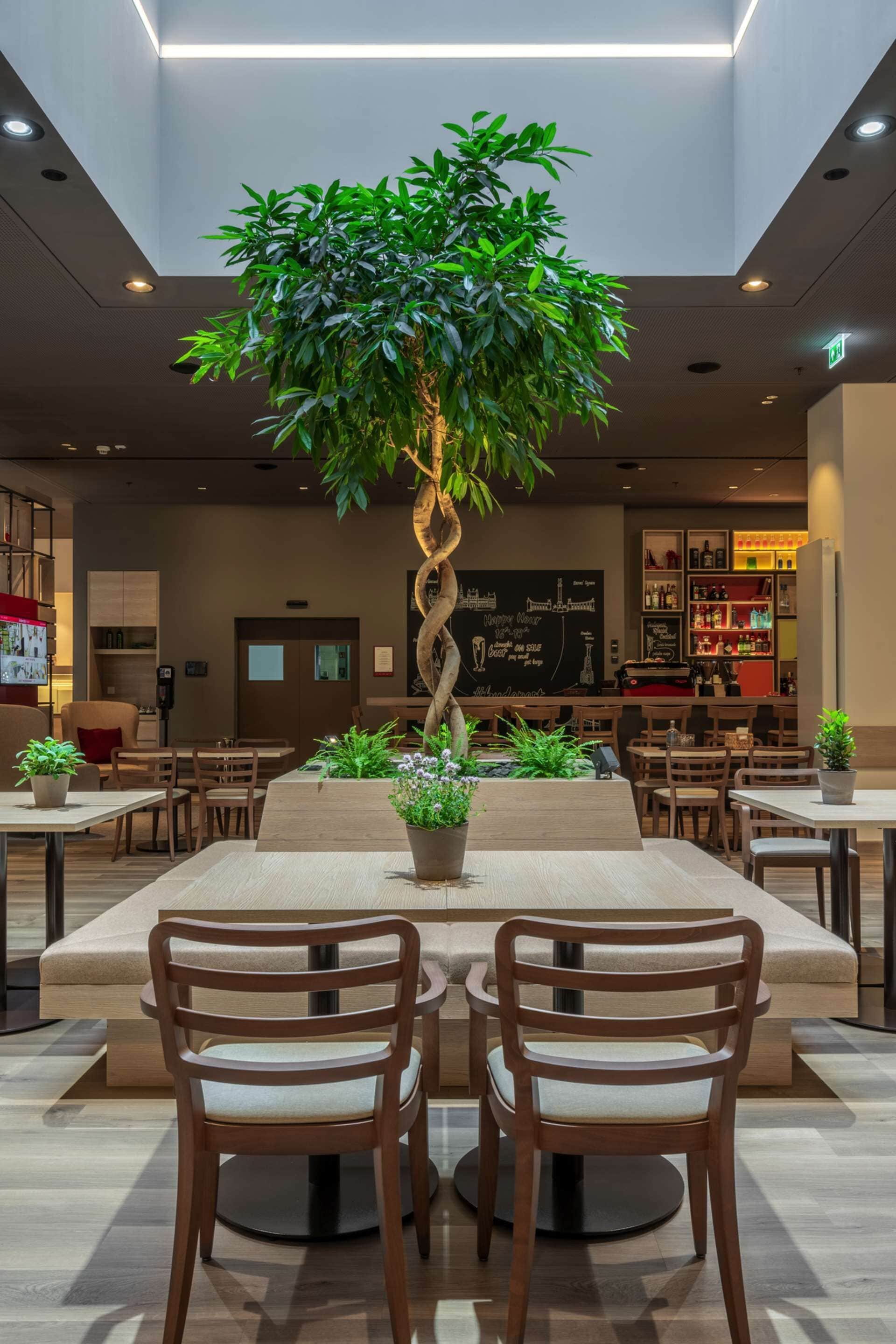 Um espaço interior moderno com uma mesa de madeira central rodeada por cadeiras, uma grande planta em vaso e uma área de estar com bancos acolchoados.
