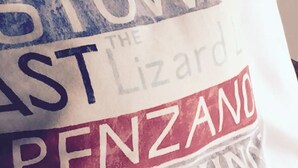 Un coussin orné du texte « The Lizard PenZano ».