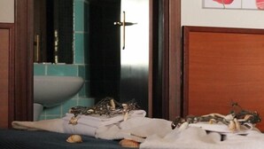 A bedroom with a bed, a bathroom visible through an open door, and a framed artwork on the wall. - Studio apartment, sea front, terrace, floor 1 (Poppy) (Anzio)