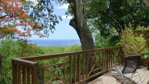 Property grounds - Bungalow hibiscus (Vieux Habitants)