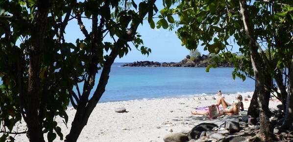 Beach nearby - Bungalow hibiscus (Vieux Habitants)