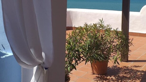 Un espace extérieur abrité avec vue sur la mer, une plante en pot et un mur blanc.