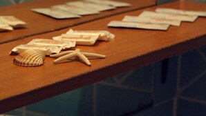 Una mesa de madera con diversos objetos, como estrellas de mar y conchas marinas.