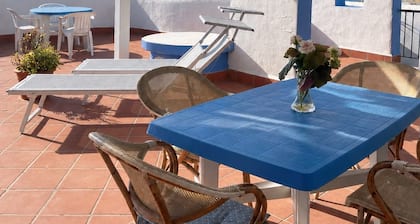 Two-bedroom apartment, large terrace, ocean view (Camellia)