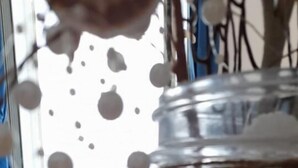 A glass jar filled with seashells on a wooden surface. - Double room, Terrace, No kitchen, Ground floor (Gardenia) (Anzio)