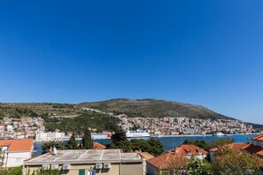 A coastal town with buildings, a hill, and a ship in the background.