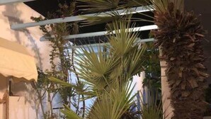 A courtyard with a palm tree, potted plants, and a white wall. - Studio, terrace, first floor (Ortensia) (Anzio)