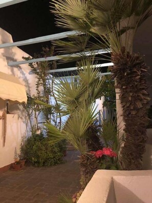Terrazza/patio