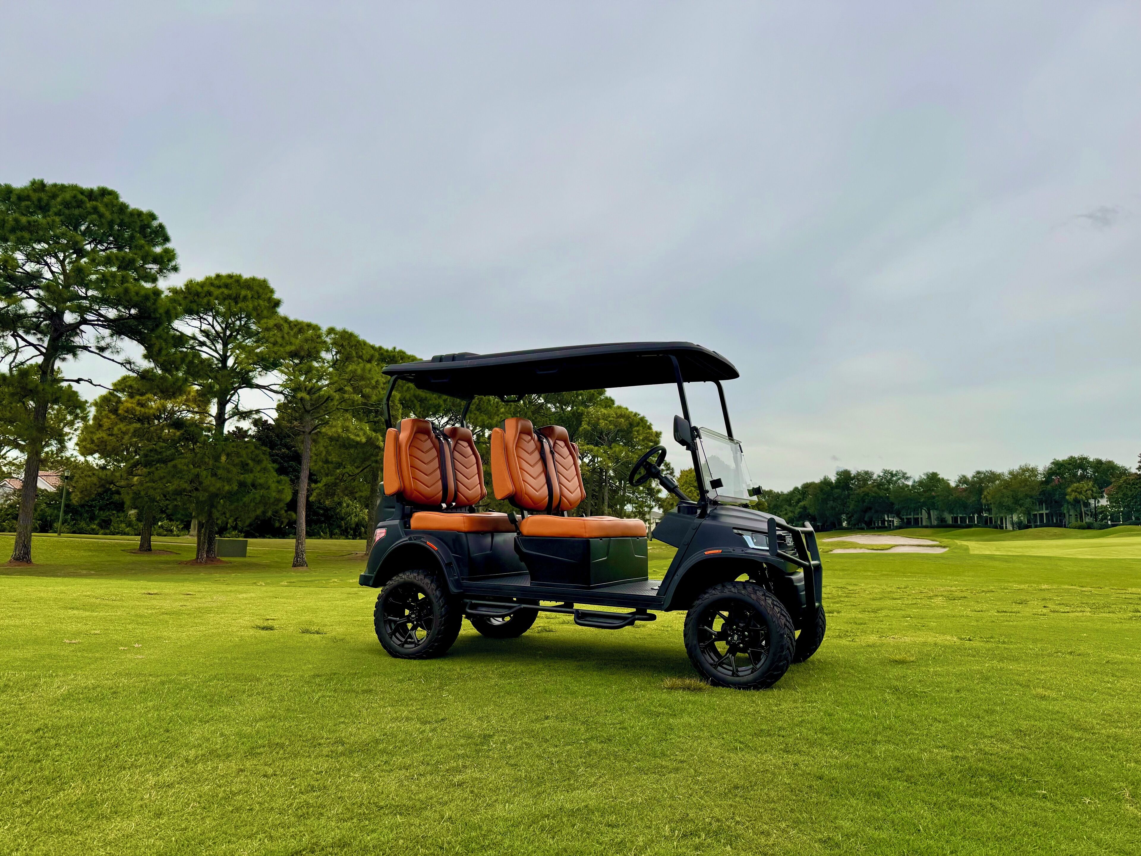 A golf cart with two seats and a canopy, parked on a grassy field with trees in the background.