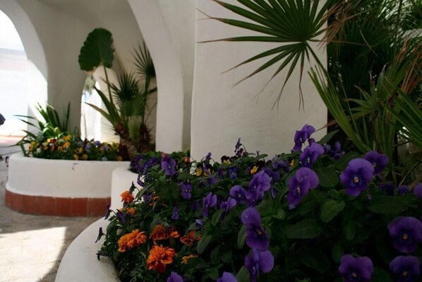 A garden with purple and orange flowers, surrounded by white walls and arches.