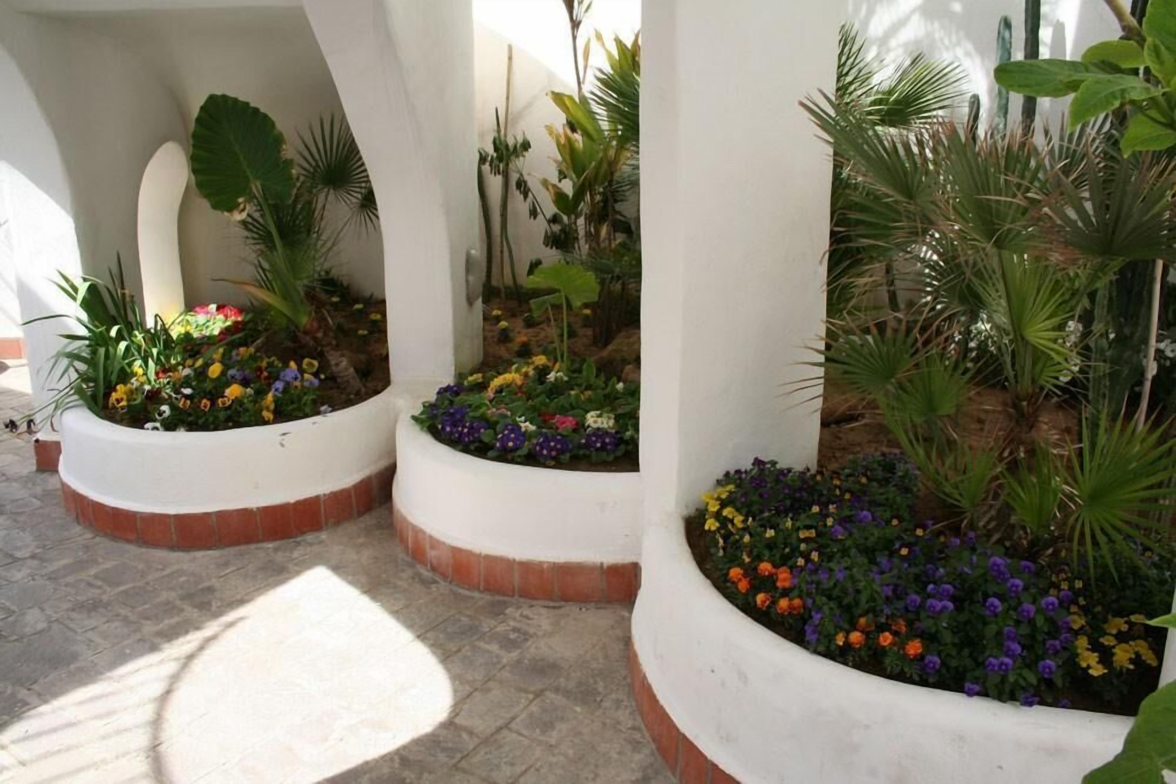 A courtyard with white planters containing colorful flowers and various plants.