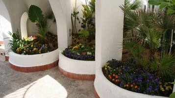Pátio com vasos brancos contendo flores coloridas e diversas plantas.