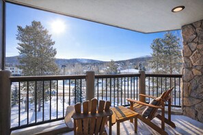 Property grounds - Park Place Mount Massive Condo: Ski-in, Prime Location (Breckenridge)