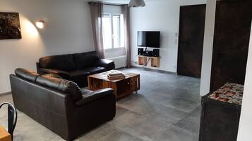 TV, DVD player, books, video library