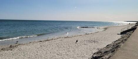 Una spiaggia nelle vicinanze