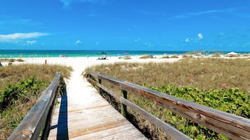 Playa en los alrededores y camastros