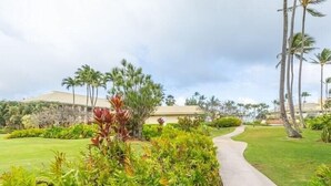 A pathway leading to a building surrounded by lush greenery and palm trees. - Kauai Beach Villas D-9 ... Centrally located ... & Lagoon view (Lihue)