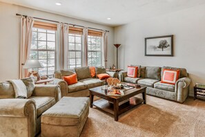 Televisión, chimenea y reproductor de DVD 