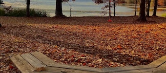 Adorable Tiny House Cabin- Lake Guntersville-ADA