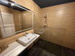 Regadera, secadora de cabello, toallas, papel de baño 
