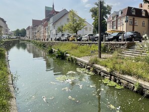 Uklassifisert bilde, 4 av 29, knapp