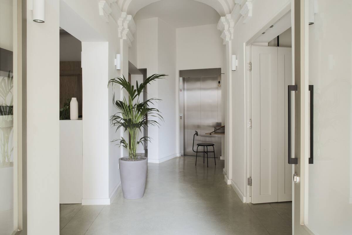 Un pasillo con paredes blancas, una planta grande en maceta y una puerta que da a una zona de cocina.