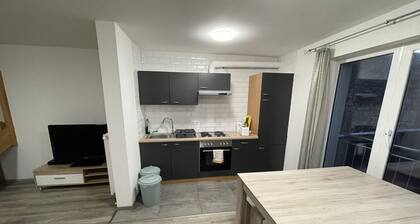 5P-Newly renovated beautiful spacious apartment