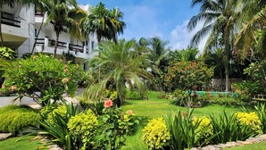 A lush garden with palm trees, flowering plants, and a well-maintained lawn in front of a white building with balconies.