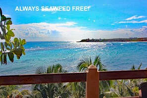 Property grounds - Penthouse 280 Views/Outdoor Living/Pool/Gardens (Akumal)