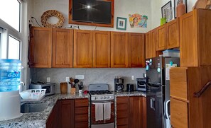 Frigorífico, microondas, horno y placa de cocina
