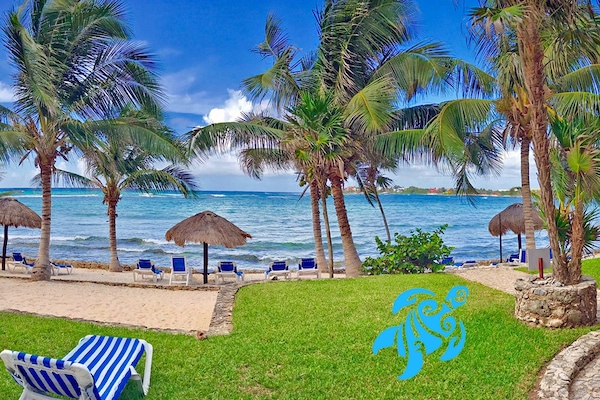 Plage, chaises longues, serviettes de plage