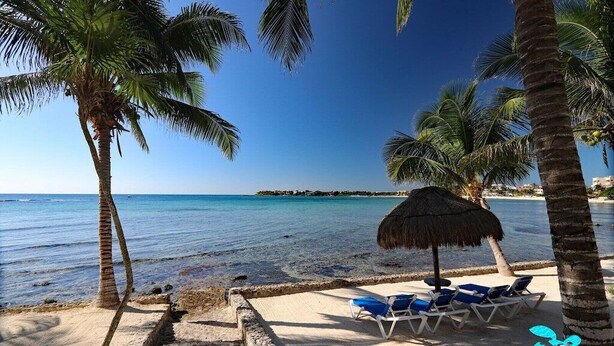 A beach with palm trees, a thatched umbrella, and lounge chairs.