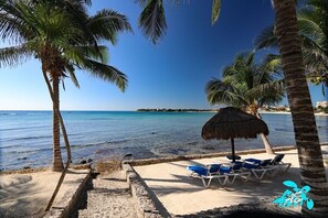 A beach with palm trees, a thatched umbrella, and lounge chairs.