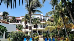 A swimming pool surrounded by palm trees and blue chairs, with a building in the background.