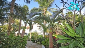 Un sentiero circondato da palme e vegetazione rigogliosa, che conduce a un edificio con facciata bianca.