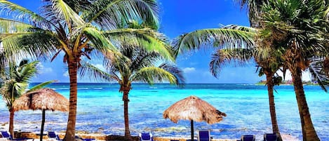 On the beach, sun-loungers