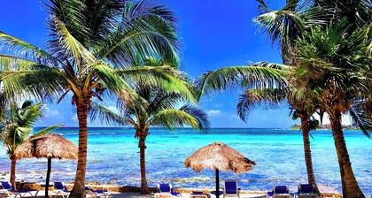 Beachfront! Snorkeling, Pool and Gardens