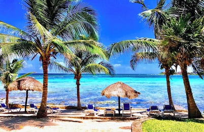 Beachfront! Snorkeling, Pool and Gardens