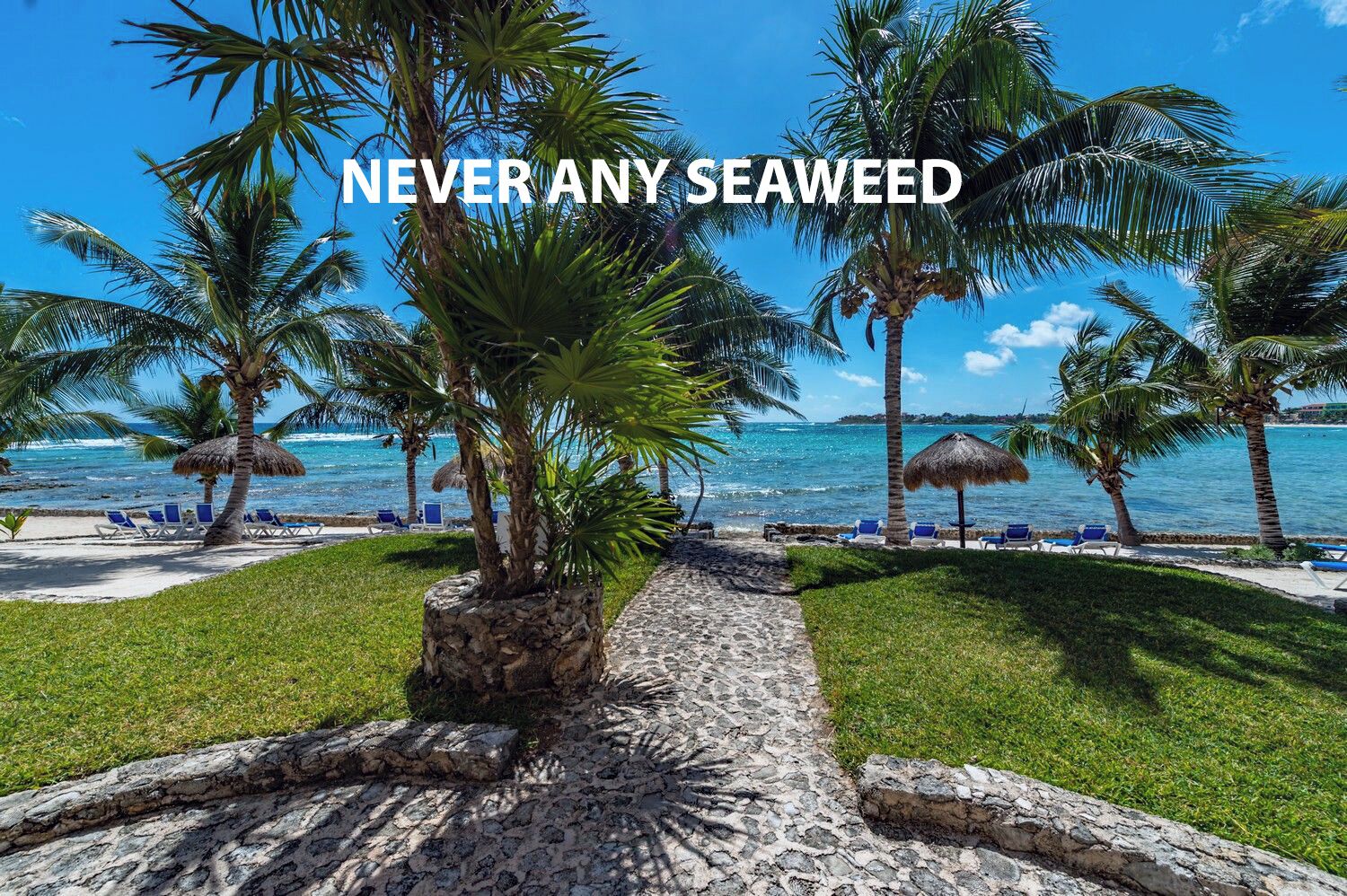 Beach nearby, sun-loungers, beach towels