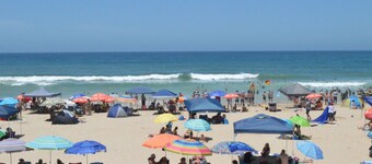 Shuttle service to Disney World Orlando!