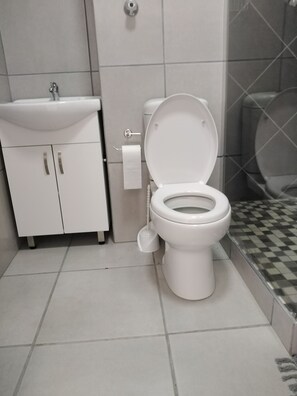 Shower, free toiletries, hair dryer, towels - Shuttle service to Disney World Orlando! (kissimmee)