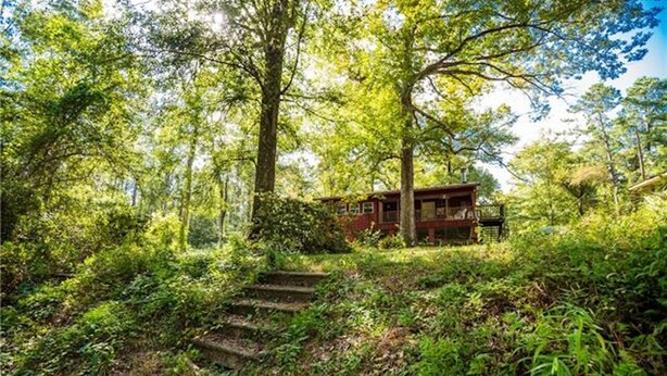 Un chalet rustique entouré d’une forêt dense, avec un escalier menant à l’entrée.