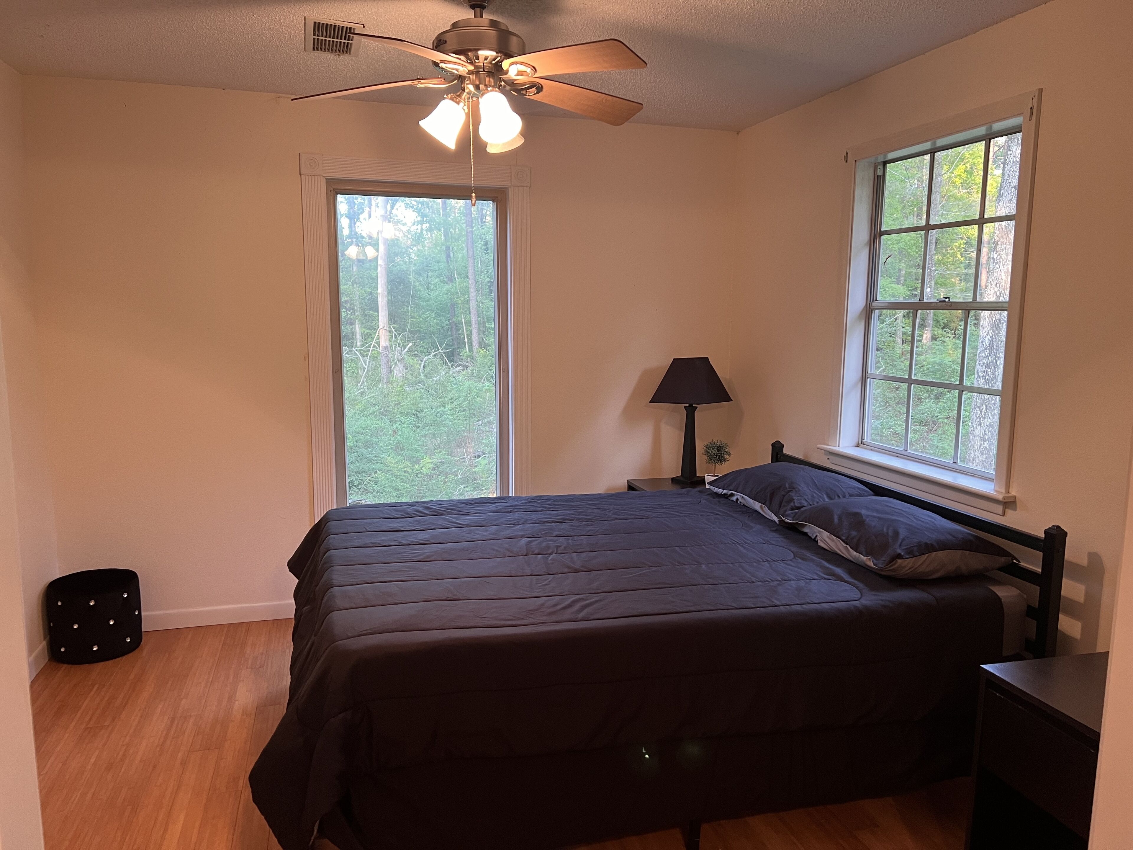 A bedroom with a bed, two windows, a ceiling fan, a nightstand, and a lamp.