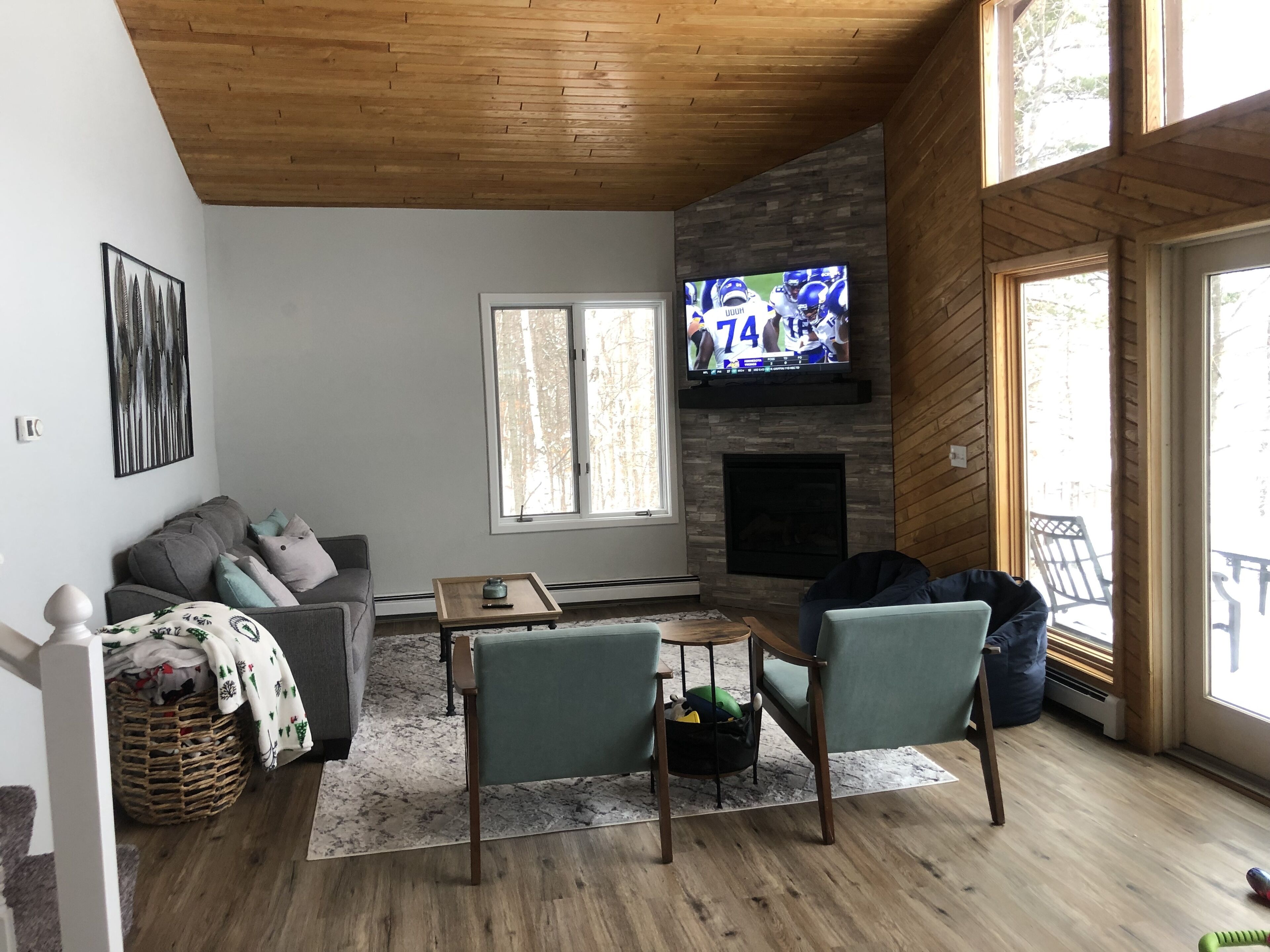 Smart TV, fireplace, books, stereo