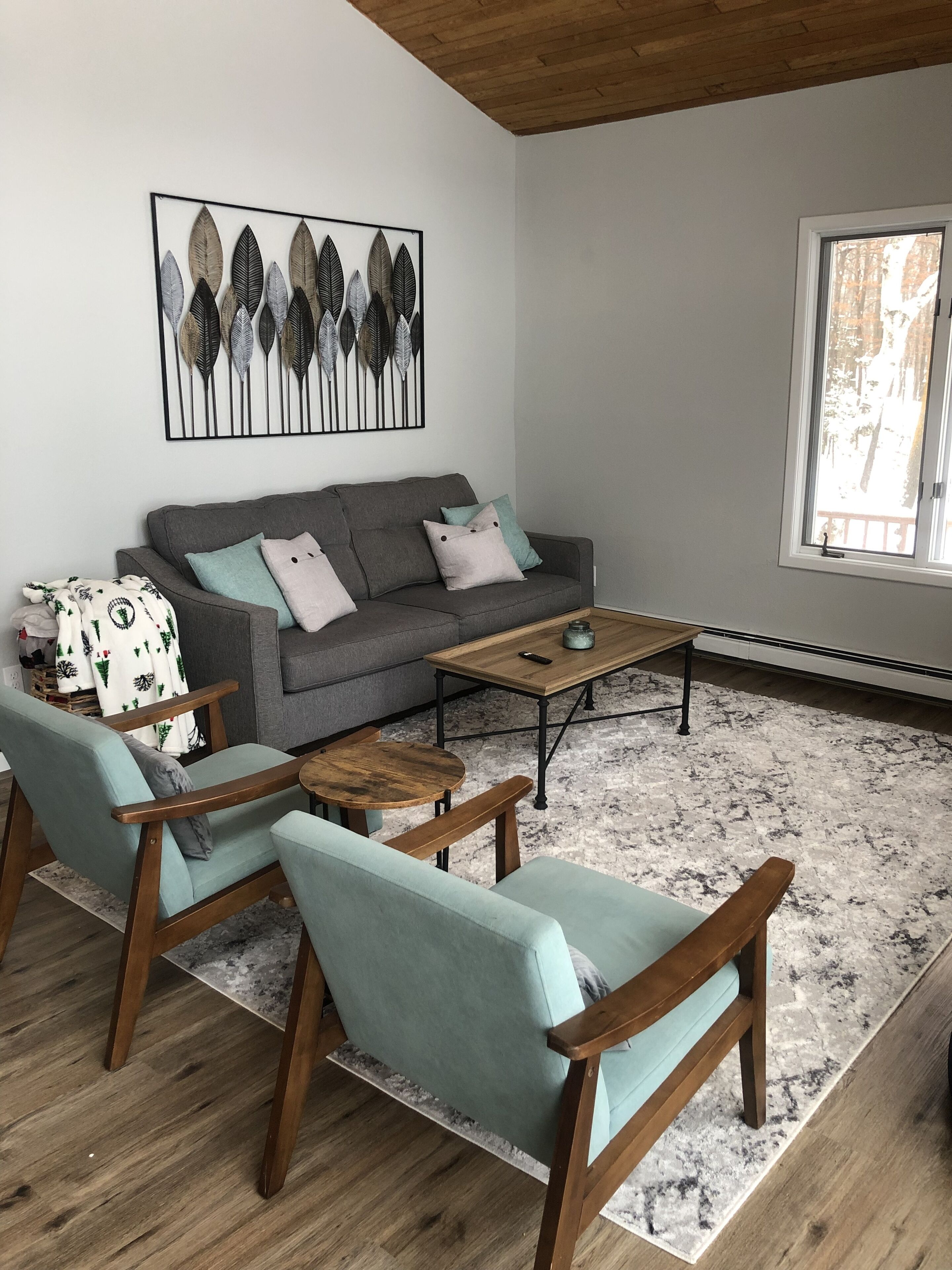 Smart TV, fireplace, books, stereo