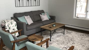 Smart TV, fireplace, books, stereo